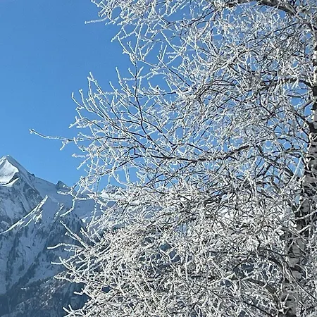 Apartment Nr 22 Haus Voglreiter