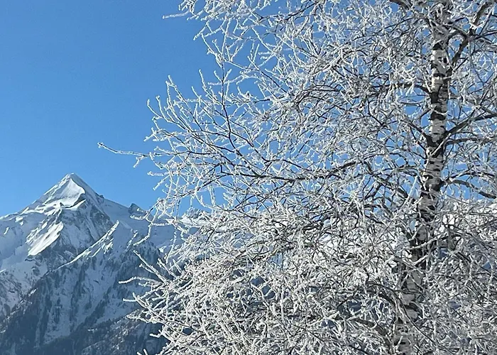 Lägenhet Nr 22 Haus Voglreiter