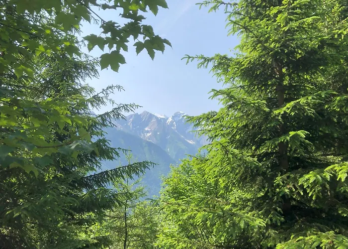 Nr 22 Haus Voglreiter * Kaprun